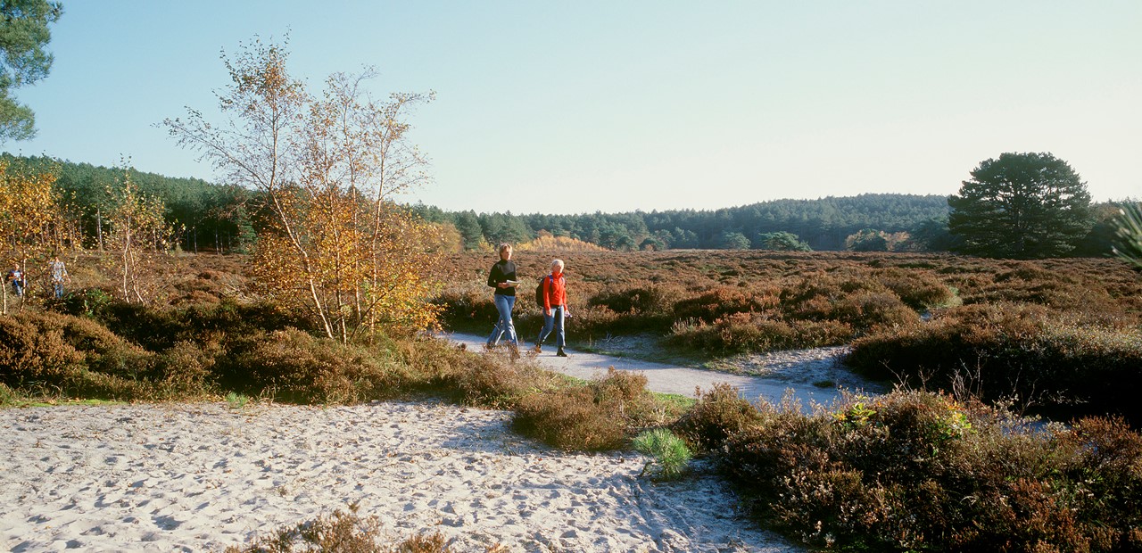 Back to Nature Weekend Retraite met Yoga en Mindfulness in Schoorl op centrum Heel en Al