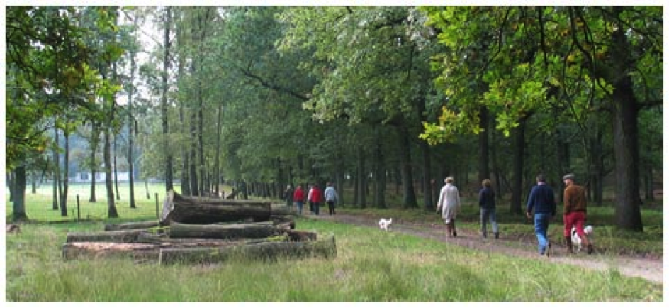 Back to Nature Mindfulness Retraite in Huis Hoog Delen (Veluwe) met Hans Kloosterman