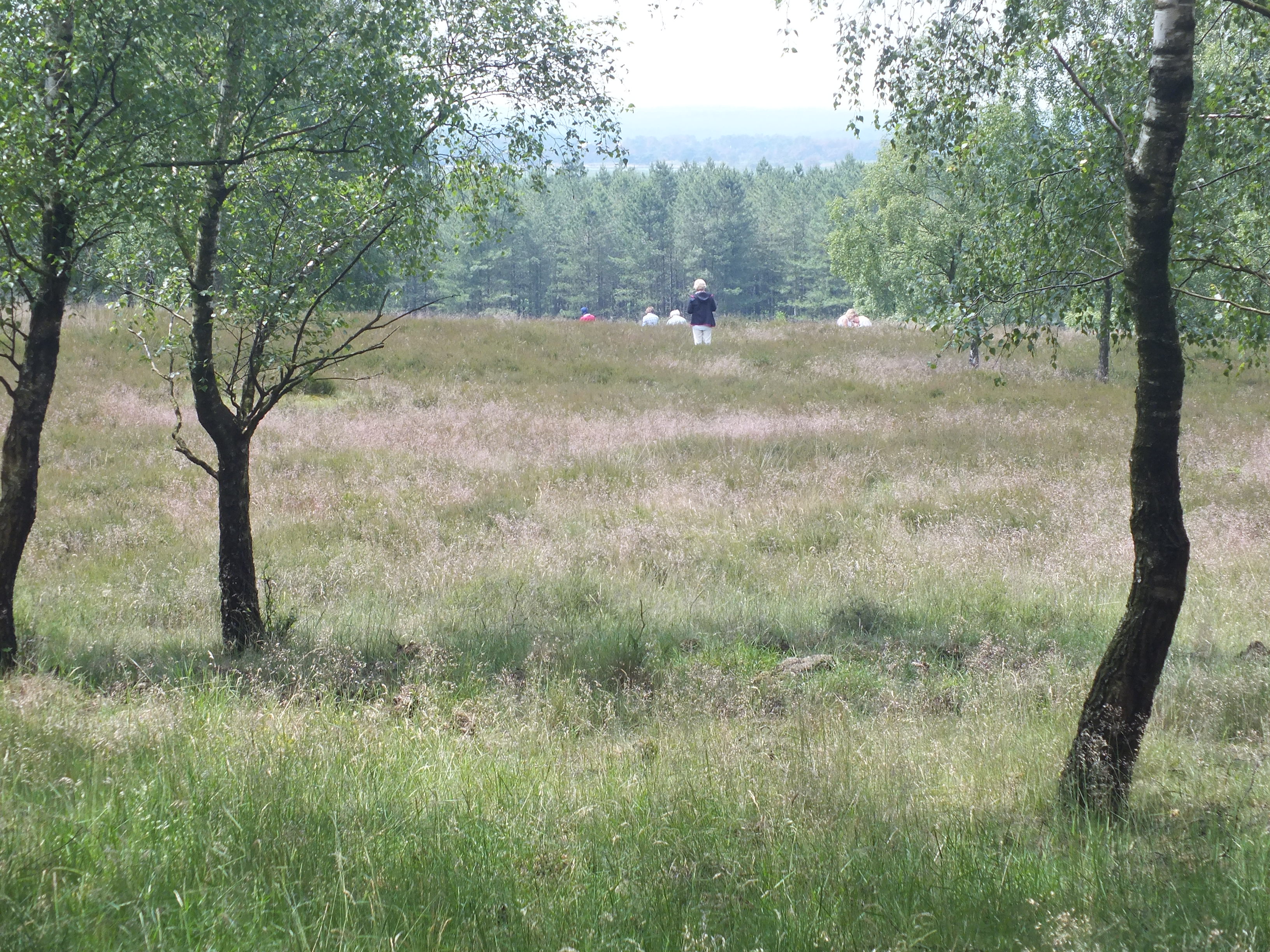 Back to Nature Mindfulness Retraite in Huis Hoog Delen (Veluwe) met Hans Kloosterman