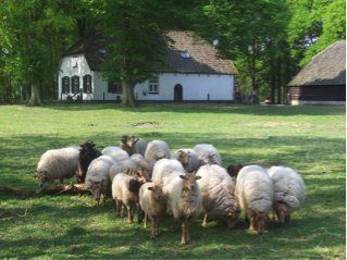 Back to Nature Mindfulness Retraite in Huis Hoog Delen (Veluwe) met Hans Kloosterman