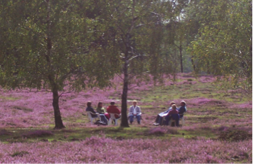 Back to Nature Mindfulness Retraite in Huis Hoog Delen (Veluwe) met Hans Kloosterman